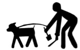 Zonas caninas