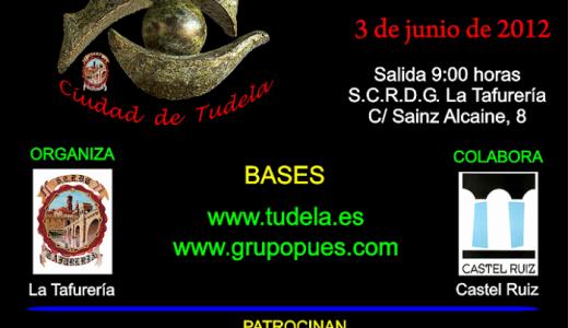 Cartel del XIV Rally fotográfico de Tudela