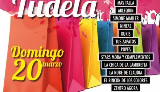 Cartel IX Feria del Stock
