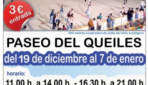 Cartel pista de hielo 2015