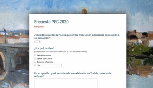Encuesta Tudela PEC