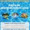Actividad gratuita piscinas