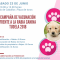 Cartel Vacunación 2018