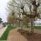 Corredor verde 3